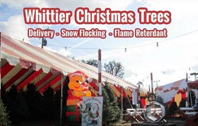 Whittiers Pumpkin Patch and Christmas Trees
