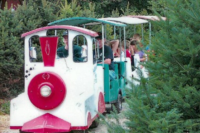 Southern Tree Plantation miniature train ride
