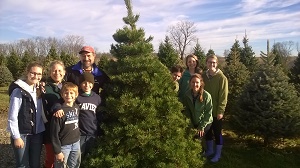 Koch Christmas Trees