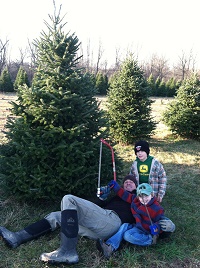 cleveland ohio area christmas tree farms choose and cut cleveland ohio area christmas tree farms choose and cut