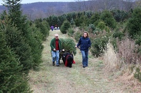 Plow Farms