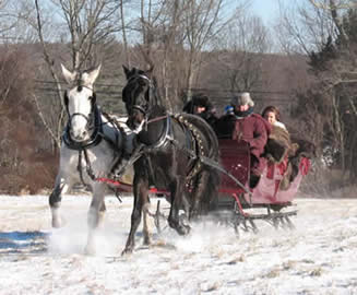 Allegra Farm - sleigh rides