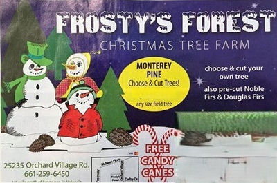 Frosty's Forest Christmas Tree Farm