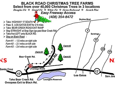 Black Road Christmas Tree Farms