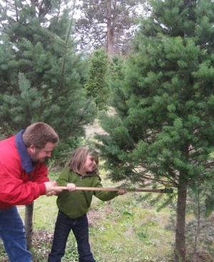 Graton Fire Christmas Tree Farm