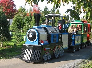 Reindeer Ridge train rides