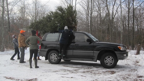 Spruce Hill Farm,  Hamden, CT