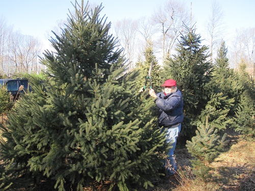 Spruce Hill Farm,  Hamden, CT