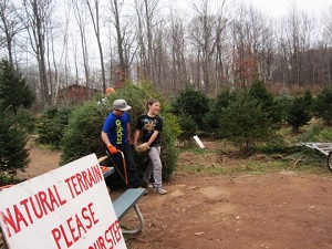 Spruce Hill Tree Farm, Hamden, CT