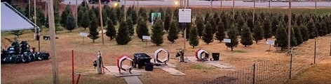 Sandy Springs Christmas Tree Lot 