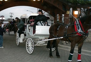 Forest View Farms  sleigh rides, winter hay rides, winter wagon rides,