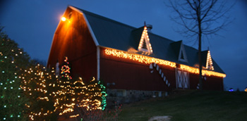 Oney's Tree Farm