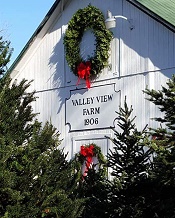Valley View Farm 
