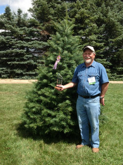 Candy Cane Christmas Tree Farm