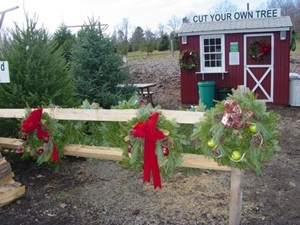 Hidden Pond Christmas Tree Farm