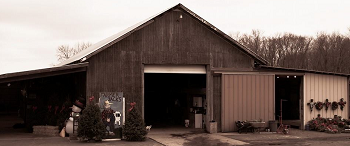 Farmer Jack's Christmas Trees