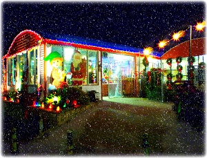 Prianti Nursery and Christmas Trees