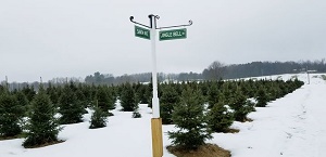 Reb Barn Christmas Tree Farm