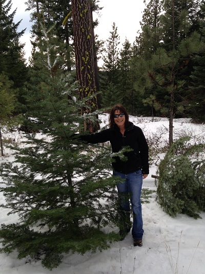 Cut Your Own Christmas Tree in the Mt. Hood National Forest for $5
