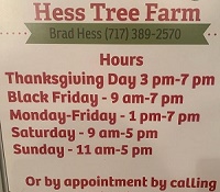 Hess Tree Farm