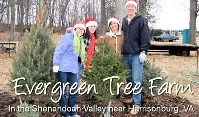 Family at Evergreen Christmas Tree Farm