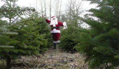 Pfaff's U-Cut Christmas Trees
