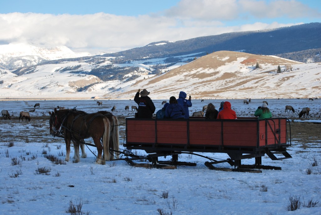 National Elk Ranch