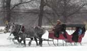 Sleigh Ride