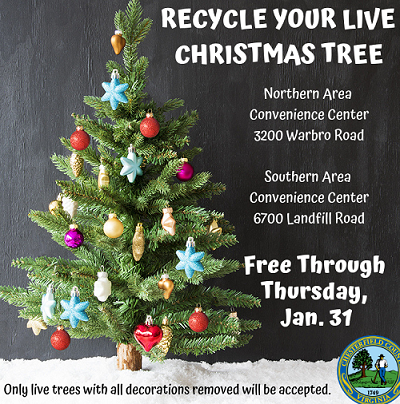 Virginia: Where and How to Recycle Your Christmas Tree After the Holidays