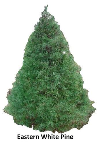 Details about   4ft 5ft 6ft 7ft Christmas Tree Undecorated Pink Purple Blue Gold Silver Black 